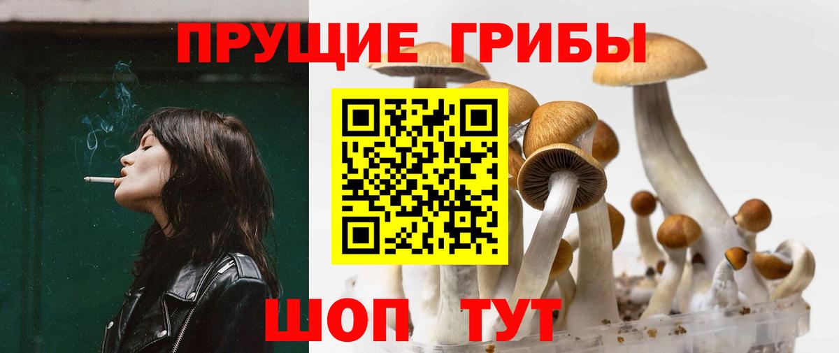 Псилоцибиновые грибы MAGIC MUSHROOMS  Вход с VPN  купить наркотики сайты  Урюпинск 